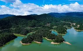 Vường Quốc gia Sông Thanh 1