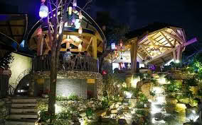 Cafe Miền Thảo Mộc 1