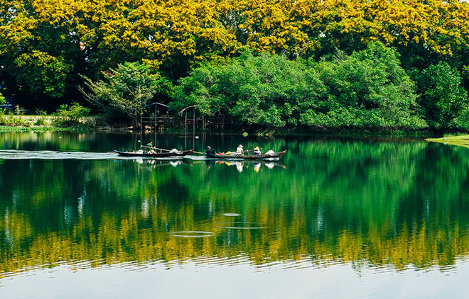 Hoa Sưa - Vườn Cừa 1