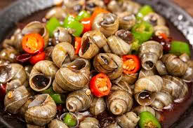 Ốc hút bé nhỏ 1