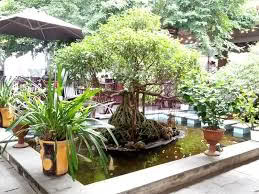 Cafe No 1 Garden 1