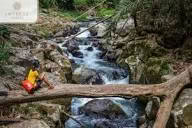 Son Tra Mountain Stream Trail 2